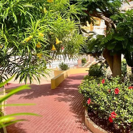 Ocean View In Orlando Апартаменты *