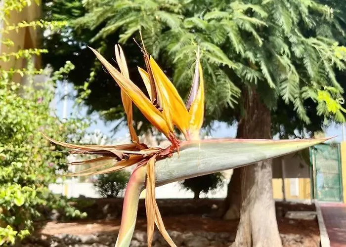 Ocean View In Orlando Apartamento